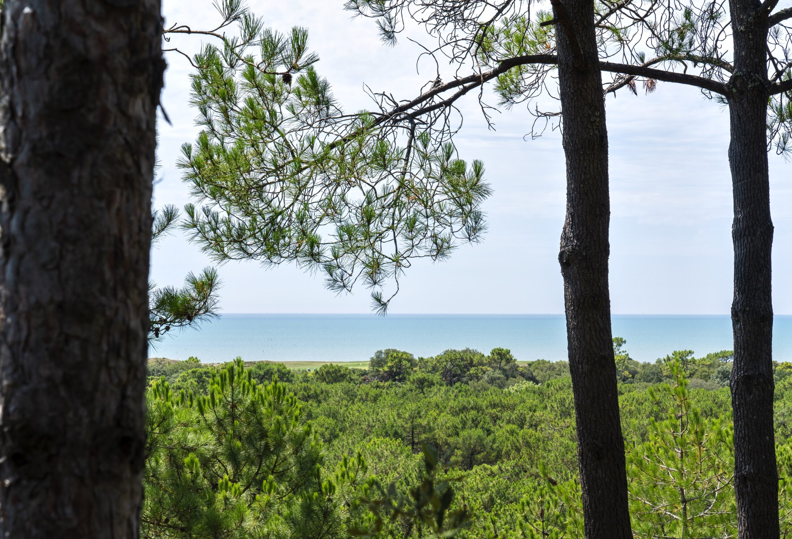 " Saint-Jean-de-Monts"				